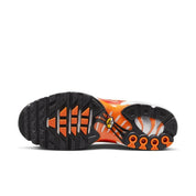 Tênis Air Max Plus Tn1 "Light Photography"
